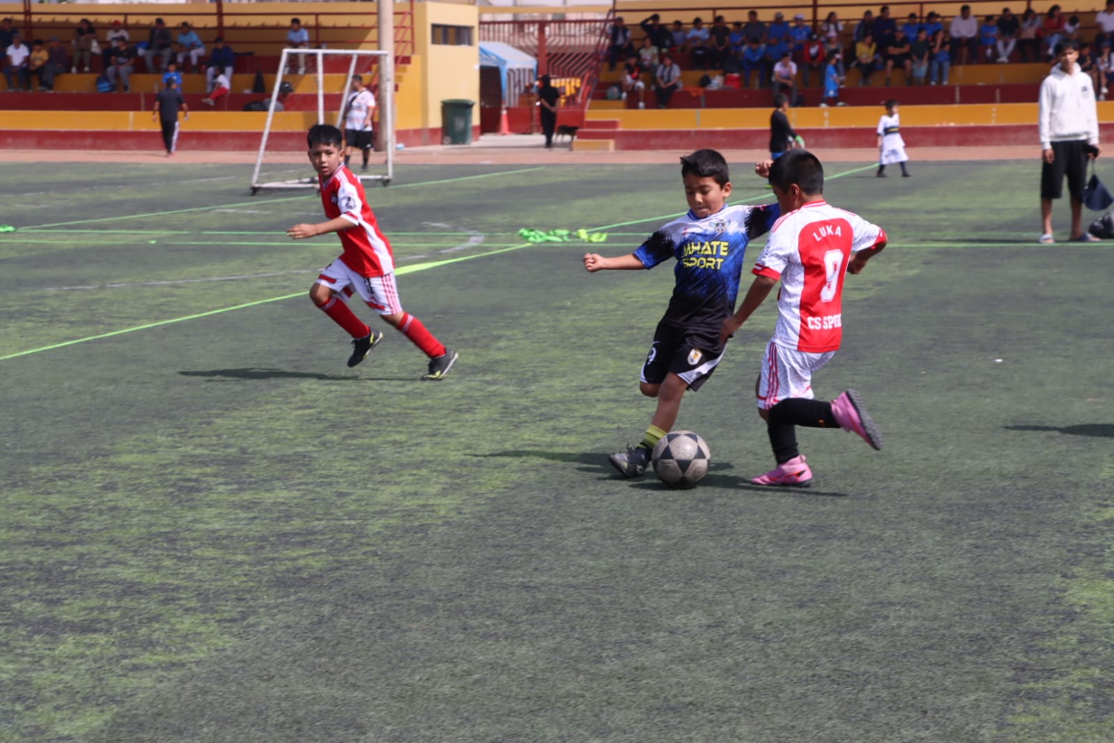 Foto 14 de las últimas fechas deportivas